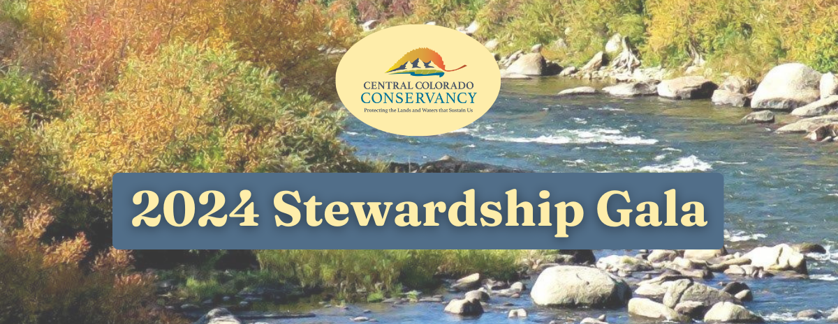 2024 Stewardship Gala